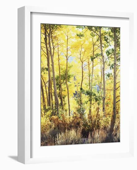 California, Sierra Nevada, Inyo Nf, Suns Rays Through Autumn Aspens-Christopher Talbot Frank-Framed Photographic Print