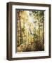 California, Sierra Nevada, Inyo Nf, Suns Rays Through Autumn Aspens-Christopher Talbot Frank-Framed Photographic Print