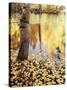 California, Sierra Nevada, Inyo Nf, the Fall Colors Aspen Leaves-Christopher Talbot Frank-Stretched Canvas