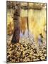 California, Sierra Nevada, Inyo Nf, the Fall Colors Aspen Leaves-Christopher Talbot Frank-Mounted Photographic Print