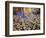 California, Sierra Nevada, Inyo Nf, the Fall Colors Aspen Leaves-Christopher Talbot Frank-Framed Photographic Print