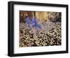 California, Sierra Nevada, Inyo Nf, the Fall Colors Aspen Leaves-Christopher Talbot Frank-Framed Photographic Print