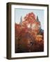 California, Sierra Nevada, Inyo Nf, the Sun Shines Through Red Aspens-Christopher Talbot Frank-Framed Photographic Print