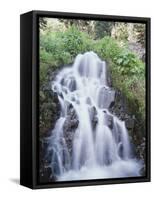 California, Sierra Nevada, Inyo Nf, Waterfall Flowing from the Forest-Christopher Talbot Frank-Framed Stretched Canvas
