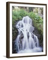 California, Sierra Nevada, Inyo Nf, Waterfall Flowing from the Forest-Christopher Talbot Frank-Framed Premium Photographic Print