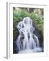 California, Sierra Nevada, Inyo Nf, Waterfall Flowing from the Forest-Christopher Talbot Frank-Framed Premium Photographic Print