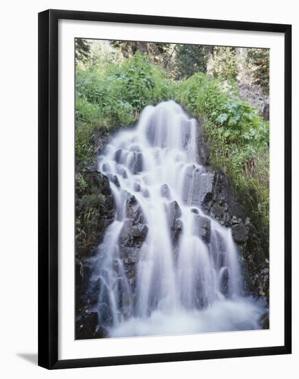 California, Sierra Nevada, Inyo Nf, Waterfall Flowing from the Forest-Christopher Talbot Frank-Framed Premium Photographic Print