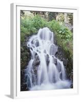 California, Sierra Nevada, Inyo Nf, Waterfall Flowing from the Forest-Christopher Talbot Frank-Framed Premium Photographic Print