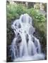 California, Sierra Nevada, Inyo Nf, Waterfall Flowing from the Forest-Christopher Talbot Frank-Mounted Premium Photographic Print