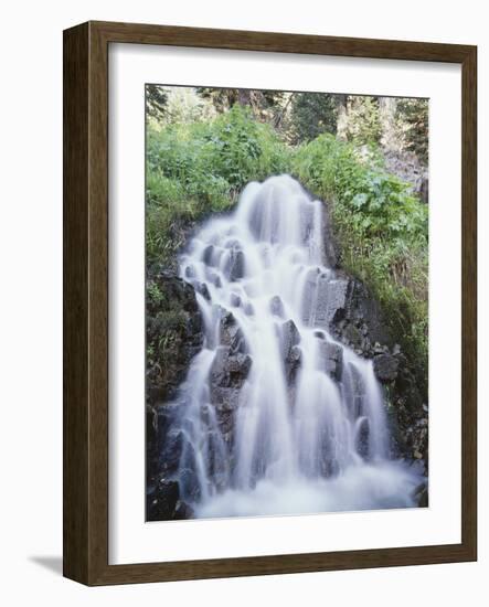 California, Sierra Nevada, Inyo Nf, Waterfall Flowing from the Forest-Christopher Talbot Frank-Framed Photographic Print