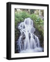 California, Sierra Nevada, Inyo Nf, Waterfall Flowing from the Forest-Christopher Talbot Frank-Framed Photographic Print