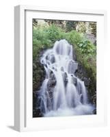 California, Sierra Nevada, Inyo Nf, Waterfall Flowing from the Forest-Christopher Talbot Frank-Framed Photographic Print