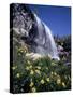 California, Sierra Nevada, Inyo Nf, Wildflowers at Lundy Falls-Christopher Talbot Frank-Stretched Canvas