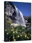 California, Sierra Nevada, Inyo Nf, Wildflowers at Lundy Falls-Christopher Talbot Frank-Stretched Canvas