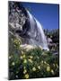 California, Sierra Nevada, Inyo Nf, Wildflowers at Lundy Falls-Christopher Talbot Frank-Mounted Photographic Print