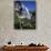 California, Sierra Nevada, Inyo Nf, Wildflowers at Lundy Falls-Christopher Talbot Frank-Photographic Print displayed on a wall