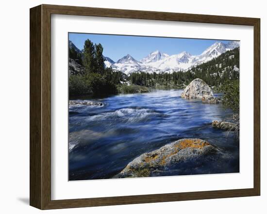 California, Sierra Nevada, Lichen Covered Rock, Rock Creek, Sierra Nf-Christopher Talbot Frank-Framed Premium Photographic Print