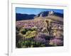 California, Sierra Nevada, Lupine and a Joshua Tree, Nine Mile Canyon-Christopher Talbot Frank-Framed Photographic Print