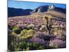 California, Sierra Nevada, Lupine and a Joshua Tree, Nine Mile Canyon-Christopher Talbot Frank-Mounted Photographic Print