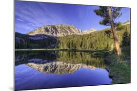 California, Sierra Nevada Mountains. Calm Reflections in Grass Lake-Dennis Flaherty-Mounted Photographic Print