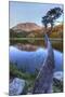 California, Sierra Nevada Mountains. Calm Reflections in Grass Lake-Dennis Flaherty-Mounted Photographic Print