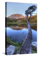 California, Sierra Nevada Mountains. Calm Reflections in Grass Lake-Dennis Flaherty-Stretched Canvas