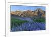 California, Sierra Nevada Mountains. Inyo Bush Lupine Blooms and Mountains-Jaynes Gallery-Framed Photographic Print