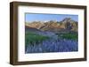 California, Sierra Nevada Mountains. Inyo Bush Lupine Blooms and Mountains-Jaynes Gallery-Framed Photographic Print