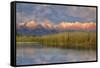 California, Sierra Nevada Mountains. Mountains Reflect in Billy Lake in Owens Valley-Jaynes Gallery-Framed Stretched Canvas