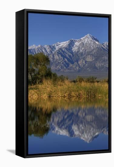 California, Sierra Nevada Mountains. Mt. Williamson Reflects in Lake-Jaynes Gallery-Framed Stretched Canvas