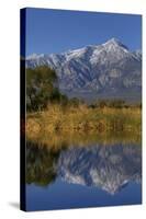 California, Sierra Nevada Mountains. Mt. Williamson Reflects in Lake-Jaynes Gallery-Stretched Canvas