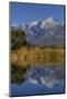 California, Sierra Nevada Mountains. Mt. Williamson Reflects in Lake-Jaynes Gallery-Mounted Photographic Print