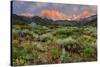 California, Sierra Nevada Mountains. Wildflowers Bloom in Valley-Jaynes Gallery-Stretched Canvas