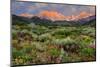 California, Sierra Nevada Mountains. Wildflowers Bloom in Valley-Jaynes Gallery-Mounted Photographic Print