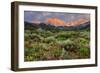 California, Sierra Nevada Mountains. Wildflowers Bloom in Valley-Jaynes Gallery-Framed Photographic Print