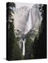 California, Sierra Nevada Mts, Yosemite National Park, Yosemite Falls-Christopher Talbot Frank-Stretched Canvas