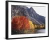 California, Sierra Nevada, Red Color Aspens Along Grant Lake, Inyo Nf-Christopher Talbot Frank-Framed Photographic Print