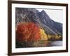 California, Sierra Nevada, Red Color Aspens Along Grant Lake, Inyo Nf-Christopher Talbot Frank-Framed Photographic Print