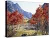 California, Sierra Nevada, Red Color Aspens Along Grant Lake, Inyo Nf-Christopher Talbot Frank-Stretched Canvas