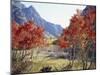 California, Sierra Nevada, Red Color Aspens Along Grant Lake, Inyo Nf-Christopher Talbot Frank-Mounted Premium Photographic Print