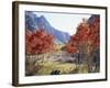 California, Sierra Nevada, Red Color Aspens Along Grant Lake, Inyo Nf-Christopher Talbot Frank-Framed Photographic Print