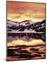 California, Sierra Nevada, Sunset, Mountains Reflecting on Ellery Lake-Christopher Talbot Frank-Mounted Photographic Print