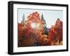 California, Sierra Nevada, Sunset Through Red Color Aspens in Inyo Nf-Christopher Talbot Frank-Framed Premium Photographic Print