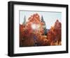 California, Sierra Nevada, Sunset Through Red Color Aspens in Inyo Nf-Christopher Talbot Frank-Framed Photographic Print