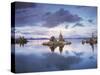 California, Sierra Nevada, Tufa Formations Reflecting in Mono Lake-Christopher Talbot Frank-Stretched Canvas