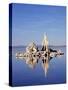 California, Sierra Nevada, Tufa Formations Reflecting in Mono Lake-Christopher Talbot Frank-Stretched Canvas