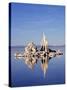 California, Sierra Nevada, Tufa Formations Reflecting in Mono Lake-Christopher Talbot Frank-Stretched Canvas