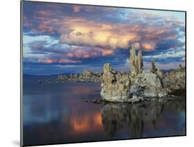 California, Sierra Nevada, Tufa Formations Reflecting in Mono Lake-Christopher Talbot Frank-Mounted Photographic Print