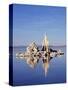 California, Sierra Nevada, Tufa Formations Reflecting in Mono Lake-Christopher Talbot Frank-Stretched Canvas