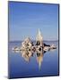 California, Sierra Nevada, Tufa Formations Reflecting in Mono Lake-Christopher Talbot Frank-Mounted Photographic Print